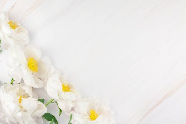 Güzel kopya alanı en az tarzı, kartpostal, yazı, metin veya tasarım şablonu mermer zemin üzerine beyaz şakayık çiçekleri blooming. Düğün davetiyesi ve kutlama tebrik kavramı
