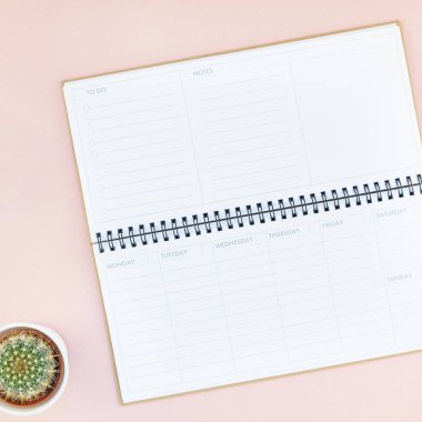 En iyi görünüm düz yatıyordu çalışma alanı Resepsiyon ofis malzemeleri kaktüsler succulents kopya alanı bin yıllık pembe renkli kağıt arka plan en az tarzı ile tasarım tarz. Kadınsı blog sosyal medya için kare şablon