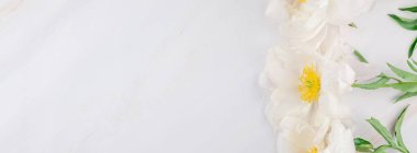 Güzel çiçek beyaz şakayık çiçekleri kopya alanı en az tarzı, şablon tasarımınızın mermer zemin üzerine. Düğün davetiyesi ve kutlama tebrik kavramı. Uzun geniş afiş