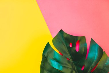 Tropikal orman palm monstera parlak sarı ve pembe Kağıt arka plan üzerinde bırakır. Yazın yaratıcı pop sanat düz yatıyordu kavramı şablon metin için