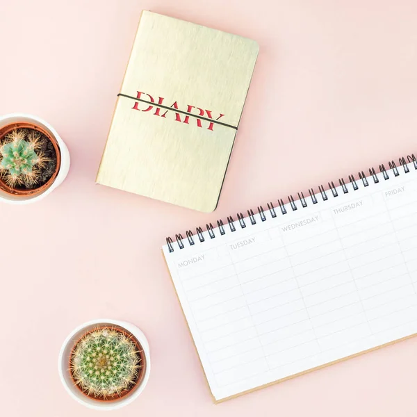 En iyi görünüm düz yatıyordu çalışma alanı Resepsiyon ofis malzemeleri kaktüsler succulents kopya alanı bin yıllık pembe renkli kağıt arka plan en az tarzı ile tasarım tarz. Kadınsı blog sosyal medya için kare şablon