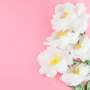 Çiçek beyaz şakayık kare renk Kağıt arka plan kopya alanı en az tarzı, kartpostal, yazı, metin için şablon ile tasarımınızı çiçekler. Düğün davetiyesi ve kutlama tebrik kavramı