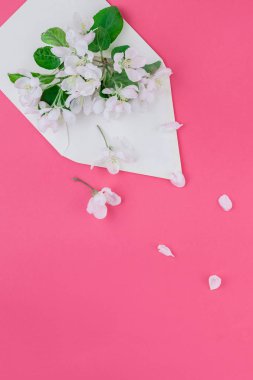Yaratıcı düz kavramı üstten görünüm boş mektup zarfının yatıyordu ve elma ağacı çiçek ile bin yıllık pembe arka plan üzerinde alanı kopyalayın en az tarzı, kutlama, davet, Sevgililer kartları için şablon