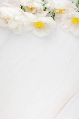 Güzel kopya alanı en az tarzı, kartpostal, yazı, metin veya tasarım şablonu mermer zemin üzerine beyaz şakayık çiçekleri blooming. Düğün davetiyesi ve kutlama tebrik kavramı