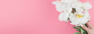 Kopya alanı en az tarzı, kartpostal, yazı, metin tasarım şablonu ile pastel bin yıllık pembe renkli kağıt arka plan beyaz şakayık çiçekleri çiçek açmış. Uzun geniş afiş blog ya da sosyal medya için