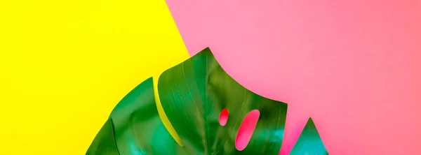 Tropical jungle palm monstera leaves on bright yellow and pink duotone paper background. Summer creative pop art flat lay concept template for text. Long wide banner