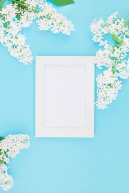 Boş Kartpostal çerçeve sahte kavramı en iyi görünümünü yaratıcı düz yığmak ve yaprakları kopya alanı en az stili, yazı, metin veya tasarım şablonu pastel mavi zemin üzerine beyaz leylak çiçekler