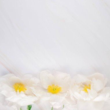 Güzel çiçek beyaz şakayık çiçekleri mermer zemin üzerine alan en az tarzı, kartpostal, metin veya tasarımınızı kare şablon kopyalayın. Düğün davetiyesi ve kutlama tebrik kavramı