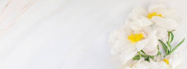 Güzel çiçek beyaz şakayık çiçekleri kopya alanı en az tarzı, şablon tasarımınızın mermer zemin üzerine. Düğün davetiyesi ve kutlama tebrik kavramı. Uzun geniş afiş