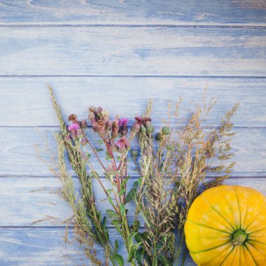 Sonbahar turuncu kabak görünümünü üst ve Kuru çiçekler ve çimen şükran günü arka plan kopya alanı ile mavi tonda ahşap masa üzerinde. Sonbaharda hasat ruh metin için kare şablon