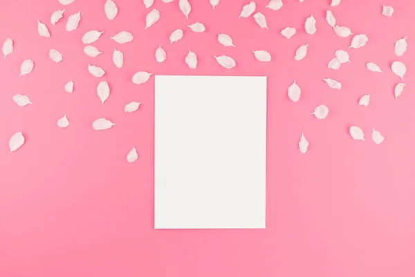 创意平躺概念空白明信片模型的顶部视图和苹果树花花瓣在柔和的粉红色背景与拷贝空间在极小的样式 文本模板 — 图库照片