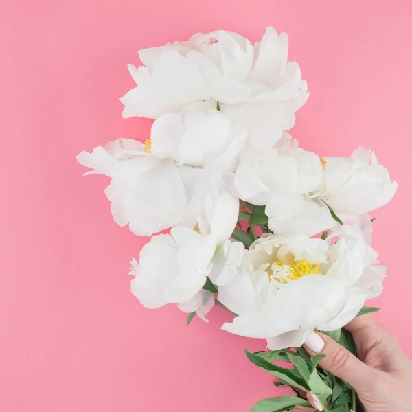 Florecientes Flores Peonía Blanca Sobre Fondo Papel Color Cuadrado Con — Foto de Stock