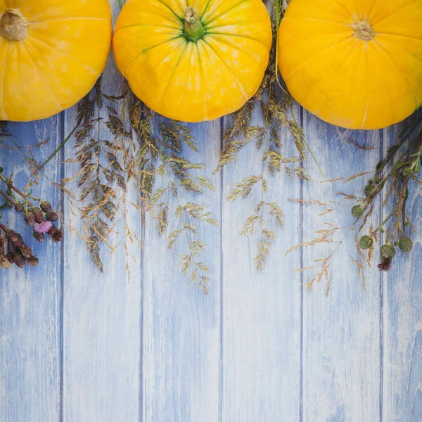 Vista Superior Abóboras Outono Laranja Flores Secas Grama Fundo Ação — Fotografia de Stock