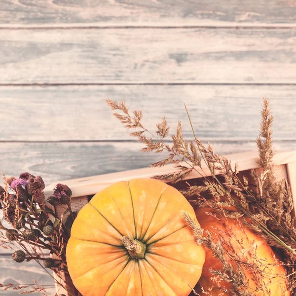 Квадратный Вид Сверху Осенние Оранжевые Куличи Сухие Цветы Траву Коробке — стоковое фото