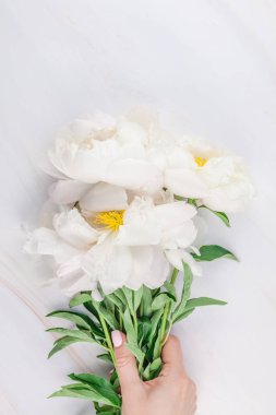 Güzel kopya alanı en az tarzı, kartpostal, yazı, metin veya tasarım şablonu mermer zemin üzerine beyaz şakayık çiçekleri blooming. Düğün davetiyesi ve kutlama tebrik kavramı