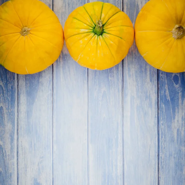 Κάτοψη Του Φθινοπώρου Πορτοκαλί Κολοκύθες Ευχαριστιών Φόντο Πάνω Μπλε Τονισμένο — Φωτογραφία Αρχείου