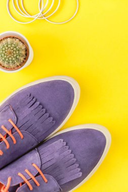 Düz Süet ayakkabı, kaktüs kopya alanı ile kalın sarı Kağıt arka plan üzerinde yatıyordu. Kadın rahat kıyafet havai görünümü. Trendy hipster bak üstten görünüm