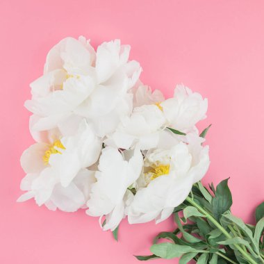 Çiçek beyaz şakayık kare renk Kağıt arka plan kopya alanı en az tarzı, kartpostal, yazı, metin için şablon ile tasarımınızı çiçekler. Düğün davetiyesi ve kutlama tebrik kavramı