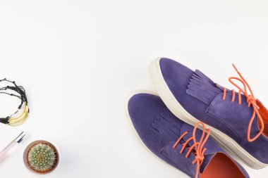 Düz moda süet ayakkabı, kadın aksesuarları ve kaktüs beyaz arka plan üzerinde kopya alanı ile yatıyordu. Kadın rahat kıyafet havai görünümü. Trendy hipster bak üstten görünüm