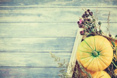 Sonbahar turuncu kabak ve Kuru çiçekler görünümünü ana sayfa ve kopya alanı ile mavi tonda ahşap masa üzerinde kutusu Şükran günü arka planda çim. Sonbaharda hasat ruh metin için şablon