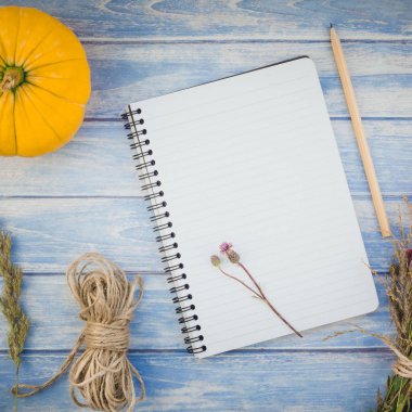 Üstten görünüm sonbahar turuncu kabak ve kuru çiçek çimen şükran günü arka plan ile defter sahte ile mavi tonda ahşap masa üzerinde kare ve rustik tarzı, metin için şablon alanı Kopyala