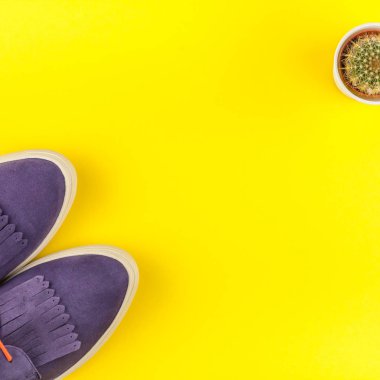 Düz moda süet ayakkabı ve kaktüs kalın sarı Kağıt arka plan üzerinde kopya alanı ile yatıyordu. Kadın rahat kıyafet havai görünümü. Kare hipster bak üstten görünüm