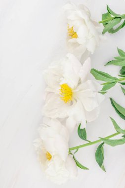 Güzel kopya alanı en az tarzı, kartpostal, yazı, metin veya tasarım şablonu mermer zemin üzerine beyaz şakayık çiçekleri blooming. Düğün davetiyesi ve kutlama tebrik kavramı