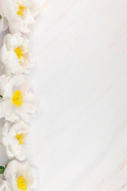 Güzel kopya alanı en az tarzı, kartpostal, yazı, metin veya tasarım şablonu mermer zemin üzerine beyaz şakayık çiçekleri blooming. Düğün davetiyesi ve kutlama tebrik kavramı