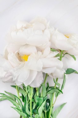 Güzel kopya alanı en az tarzı, kartpostal, yazı, metin veya tasarım şablonu mermer zemin üzerine beyaz şakayık çiçekleri blooming. Düğün davetiyesi ve kutlama tebrik kavramı