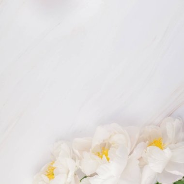 Güzel çiçek beyaz şakayık çiçekleri mermer zemin üzerine alan en az tarzı, kartpostal, metin veya tasarımınızı kare şablon kopyalayın. Düğün davetiyesi ve kutlama tebrik kavramı