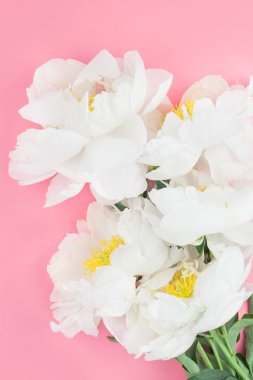 Çiçek beyaz şakayık pastel renk Kağıt arka plan kopya alanı en az tarzı, kartpostal, yazı, metin için şablon ile tasarımınızı çiçekler. Düğün davetiyesi ve kutlama tebrik kavramı