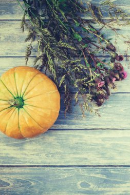 Sonbahar turuncu kabak görünümünü üst ve Kuru çiçekler ve çimen şükran günü arka plan kopya alanı ile mavi tonda ahşap masa üzerinde. Sonbaharda hasat ruh metin için şablon
