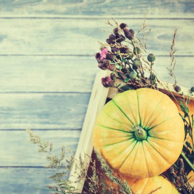 Üstten görünüm sonbahar turuncu kabak, kare ve Kuru çiçekler ve çim kutusu Şükran günü arka planda kopya alanı ile mavi tonda ahşap masa üzerinde. Sonbaharda hasat ruh metin için şablon