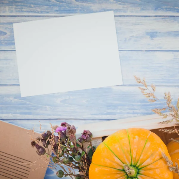 Square Bovenaanzicht Van Herfst Oranje Pompoenen Droge Bloemen Met Gras — Stockfoto