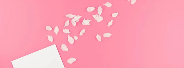創造的なフラット空白文字モックの概念平面図のレイアウトし リンゴの木の花のシンプルなスタイル テキストのテンプレートにコピー スペースとパステル ピンクの背景に花びら 長い広いバナー — ストック写真