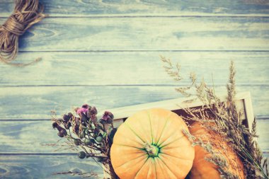 Sonbahar turuncu kabak ve Kuru çiçekler görünümünü ana sayfa ve kopya alanı ile mavi tonda ahşap masa üzerinde kutusu Şükran günü arka planda çim. Sonbaharda hasat ruh metin için şablon