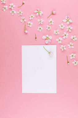 Boş Kartpostal çerçeve sahte kavramı en iyi görünümünü yaratıcı düz yığmak ve kiraz ağacı çiçek pastel bin yıllık üzerinde arka plan kopya alanı en az stili, yazı, metin veya tasarım şablonu ile pembe