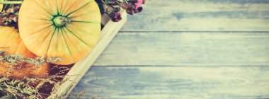 Sonbahar turuncu kabak ve Kuru çiçekler görünümünü ana sayfa ve kopya alanı ile mavi tonda ahşap masa üzerinde kutusu Şükran günü arka planda çim. Sonbaharda hasat ruh metin şablonu. Uzun geniş afiş