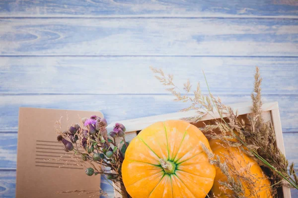 Top Uitzicht Herfst Oranje Pompoenen Droge Bloemen Gras Vak Thanksgiving — Stockfoto