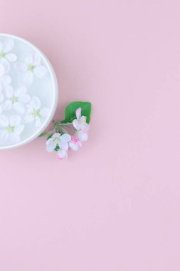 Yaratıcı düz kavramı üstten görünüm aroma kase su ile yatıyordu ve beyaz altında çiçek açması elma ağacı çiçek kopya alanı pastel pembe kağıt zemin üzerine en az tarzı, metin için şablon bahar