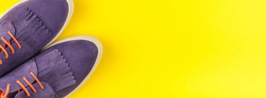 Düz moda süet ayakkabı ve kaktüs kalın sarı Kağıt arka plan üzerinde kopya alanı ile yatıyordu. Kadın rahat kıyafet havai görünümü. Uzun geniş afiş