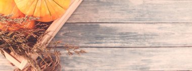 Sonbahar turuncu kabak ve Kuru çiçekler görünümünü ana sayfa ve kopya alanı ile mavi tonda ahşap masa üzerinde kutusu Şükran günü arka planda çim. Sonbaharda hasat ruh metin şablonu. Uzun geniş afiş