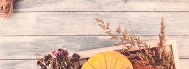 Sonbahar turuncu kabak ve Kuru çiçekler görünümünü ana sayfa ve kopya alanı ile mavi tonda ahşap masa üzerinde kutusu Şükran günü arka planda çim. Sonbaharda hasat ruh metin şablonu. Uzun geniş afiş