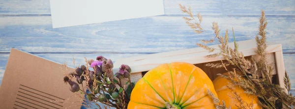 Långa Breda Banner Ovanifrån Hösten Orange Pumpor Och Torka Blommor — Stockfoto