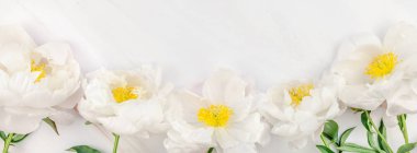 Güzel çiçek beyaz şakayık çiçekleri kopya alanı en az tarzı, şablon tasarımınızın mermer zemin üzerine. Düğün davetiyesi ve kutlama tebrik kavramı. Uzun geniş afiş