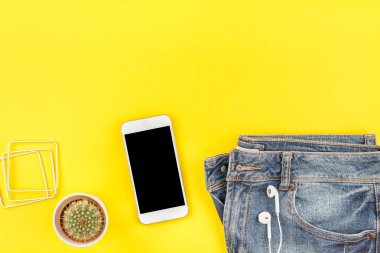 Kot düz yatıyordu, kaktüs ve smartphone kulaklıktan kalın kağıt arka plan kopya alanı ile sarı. Kadın rahat kıyafet havai görünümü. Trendy hipster bak üstten görünüm