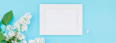 Uzun geniş afiş kavramı en iyi görünümü beyaz leylak ve boş kartpostal çerçeve kadar sahte kopya alanı en az stili, yazı, metin veya tasarım şablonu pastel mavi zemin üzerine yaprakları çiçek