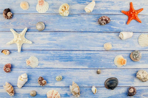 Yaratıcı düz yaz seyahat tatil kavramı yatıyordu. Kopya alanı rustik tarzı, çerçeve şablonu metin için pastel mavi ahşap plakalar zemin üzerine deniz kabuklarını ve denizyıldızı üstten görünüm