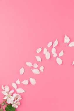 Yaratıcı düz kopya alanı en az tarzı, metin için şablon ile uçan elma ağacı çiçek yaprakları kavramı en iyi görünümünü pastel pembe bir arka plan üzerinde göklere