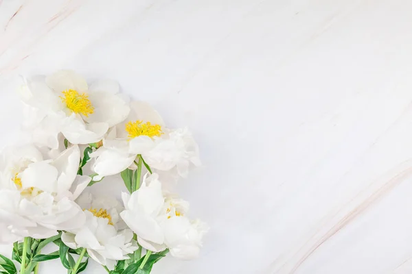 Hermosas Flores Peonía Blanca Flor Sobre Fondo Mármol Con Espacio — Foto de Stock